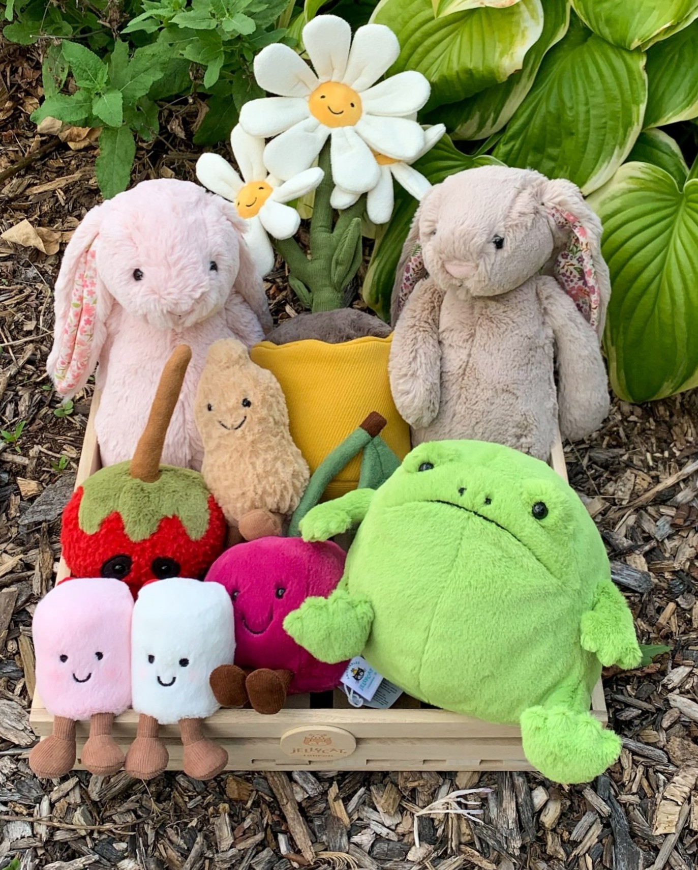 541510166 18531316168052323 3555103365458071113 n