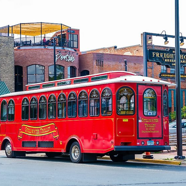 Untitled design (19)