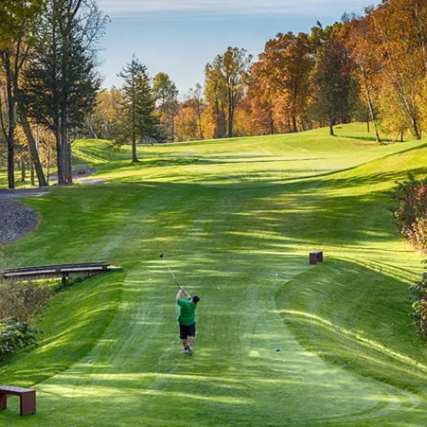 Untitled design (21)