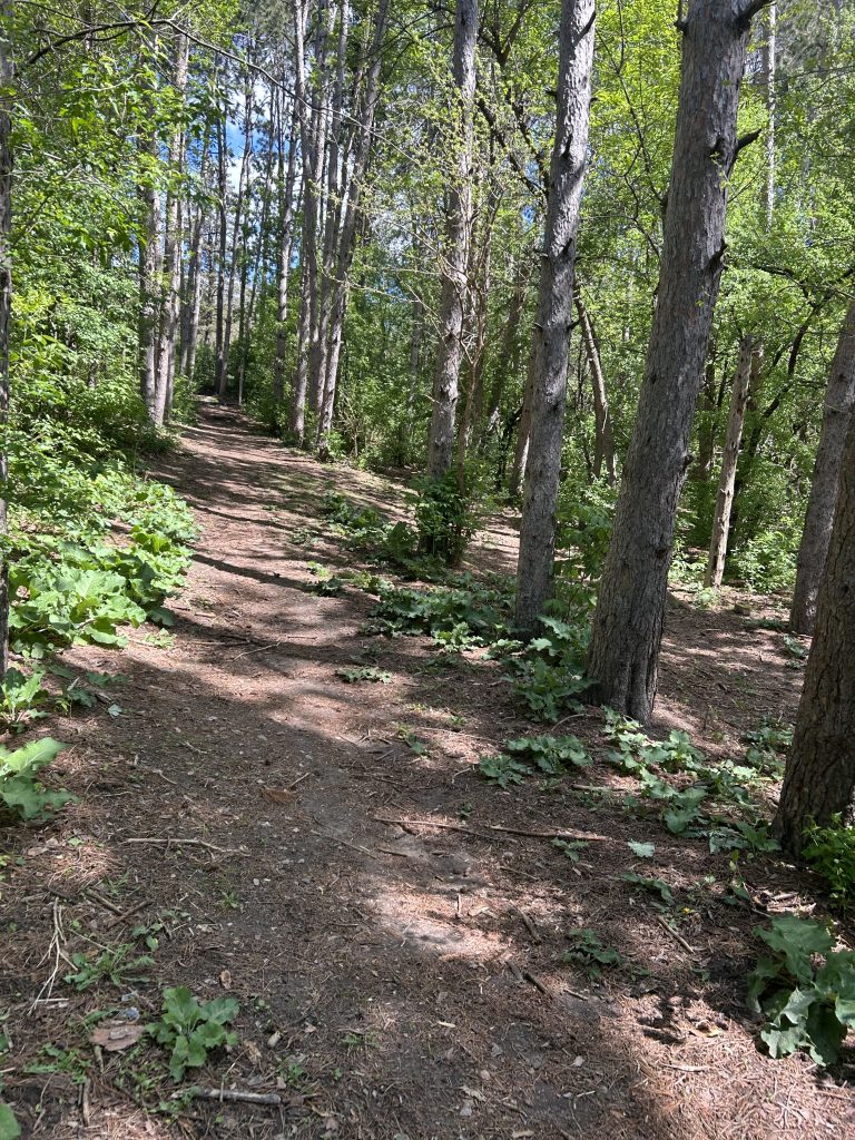 BrekkeDiscGolfCourse