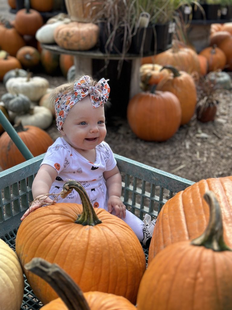 Axdahl's Garden Farm & Greenhouse little girl with pumpkins photo by Katie Kammerude