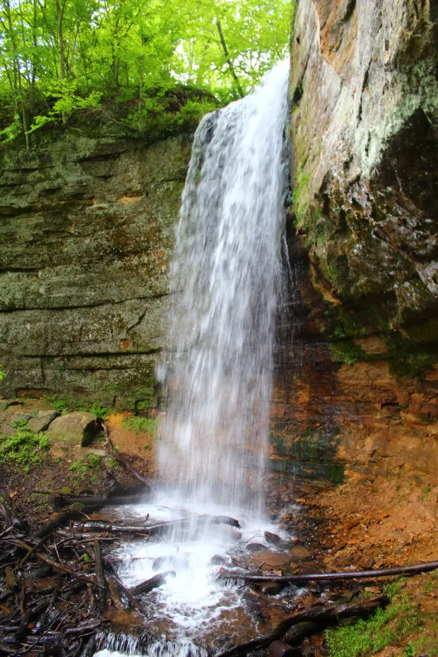 FairyFalls