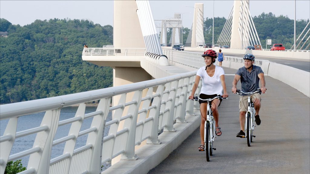 bridge bikes (1)